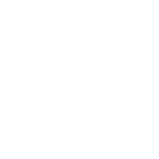 Ikon Bus